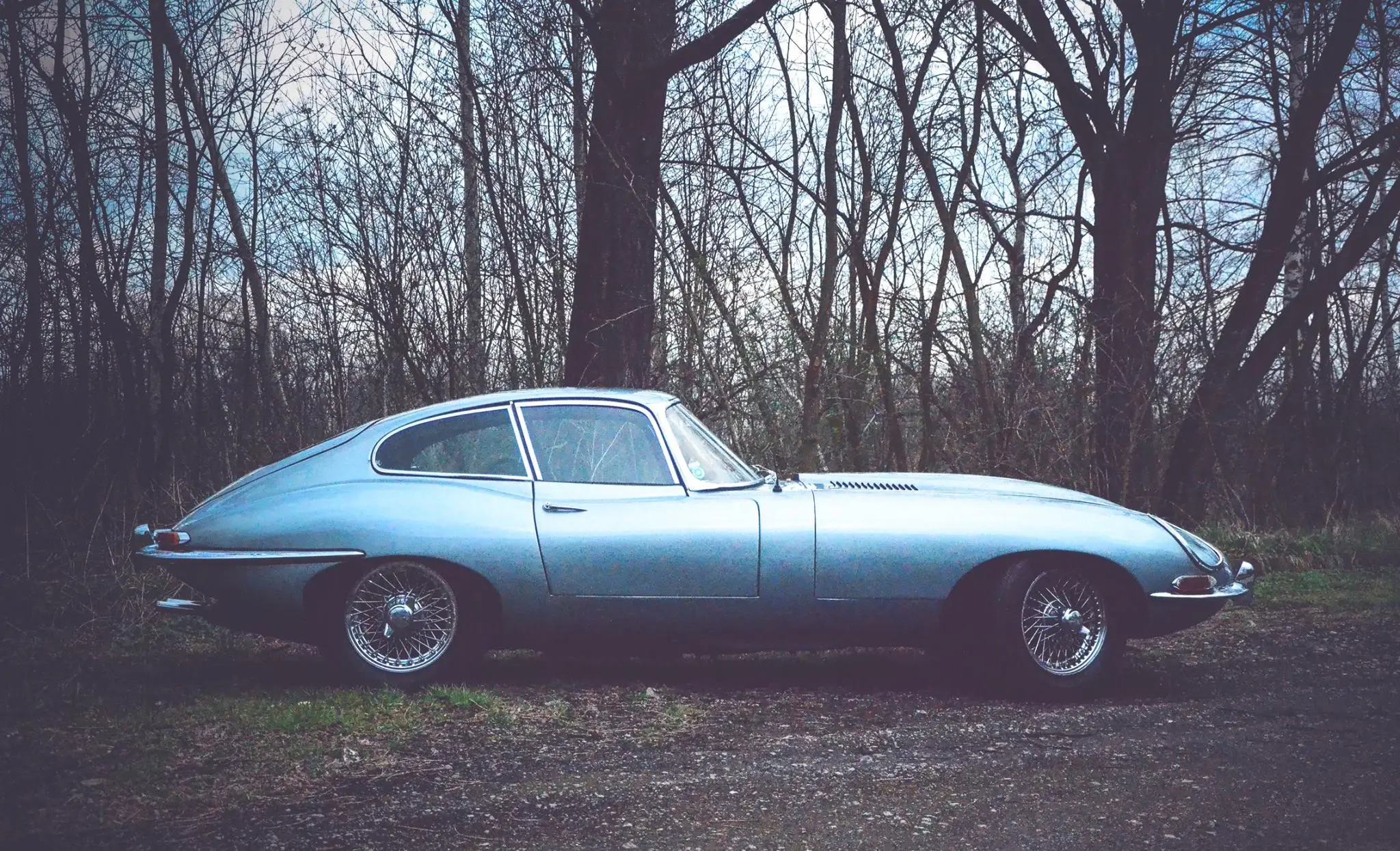 jaguar-04