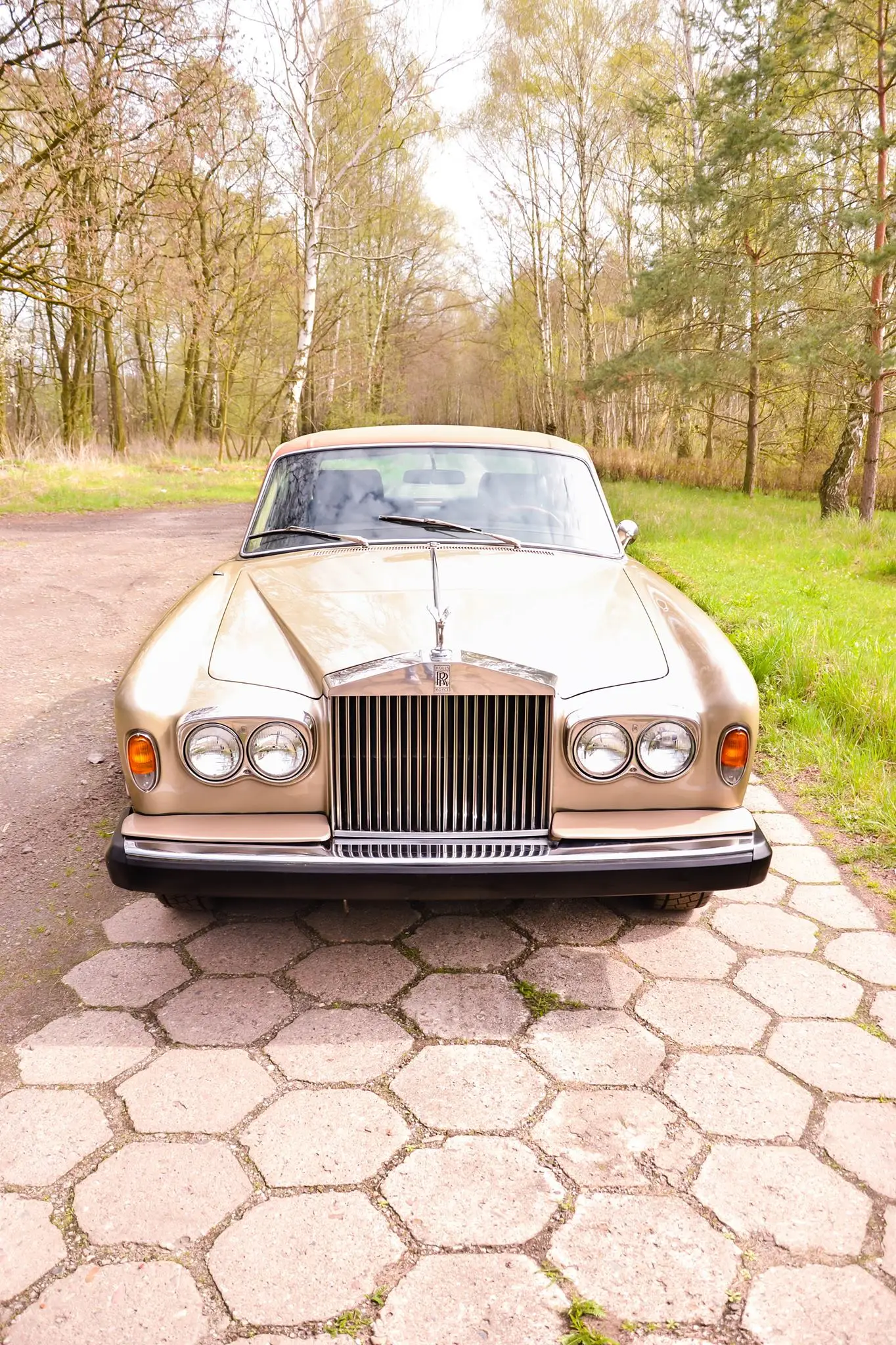 rolls-04
